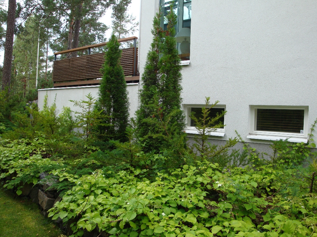 Viherrakentaminen